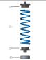 Preview: Für Qashqai III J12 4WD Höherlegung 20mm Verstärkung Serienfeder HA HV-314435