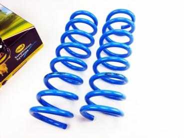für EcoSport JK8 MAD verstärkte Höherlegungsfedern Verstärkungsfedern 25-30mm HA Hinterachse HV-068228