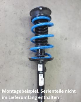 Preview: MAD Verstärkte Federn VA für Mercedes Vito V-Klasse W447 + ca. 25% 15mm höher