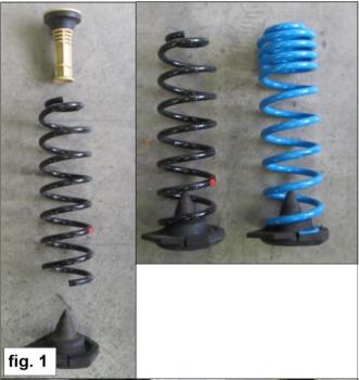 Für Renault Scenic IV RFA MAD Verstärkungsfedern Hinterachse HV-140638
