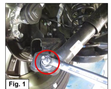 Für Renault Talisman 2WD RFD L2M LP Frontantrieb MAD verstärkte Federn HV-310328