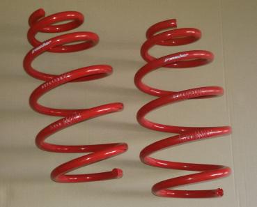 2x Irmscher Tieferlegungsfeder Vorderachsfeder 30mm Opel Insignia Limo