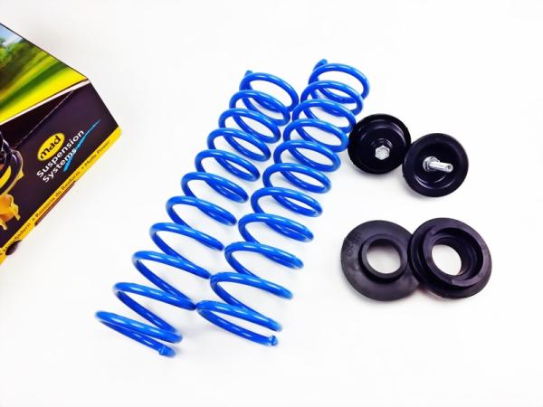 für Logan III DJF MAD Zusatzfedern Höherlegung Verstärkung der Serienfeder HA